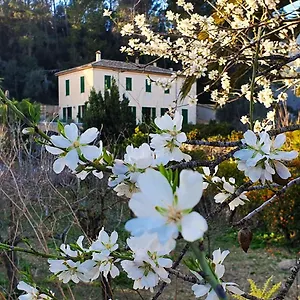 Casa rural Sa Maniga, Bunyola (Buñola)